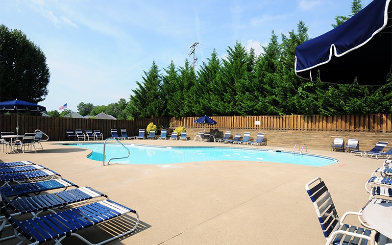 pool with lounge chairs and trees